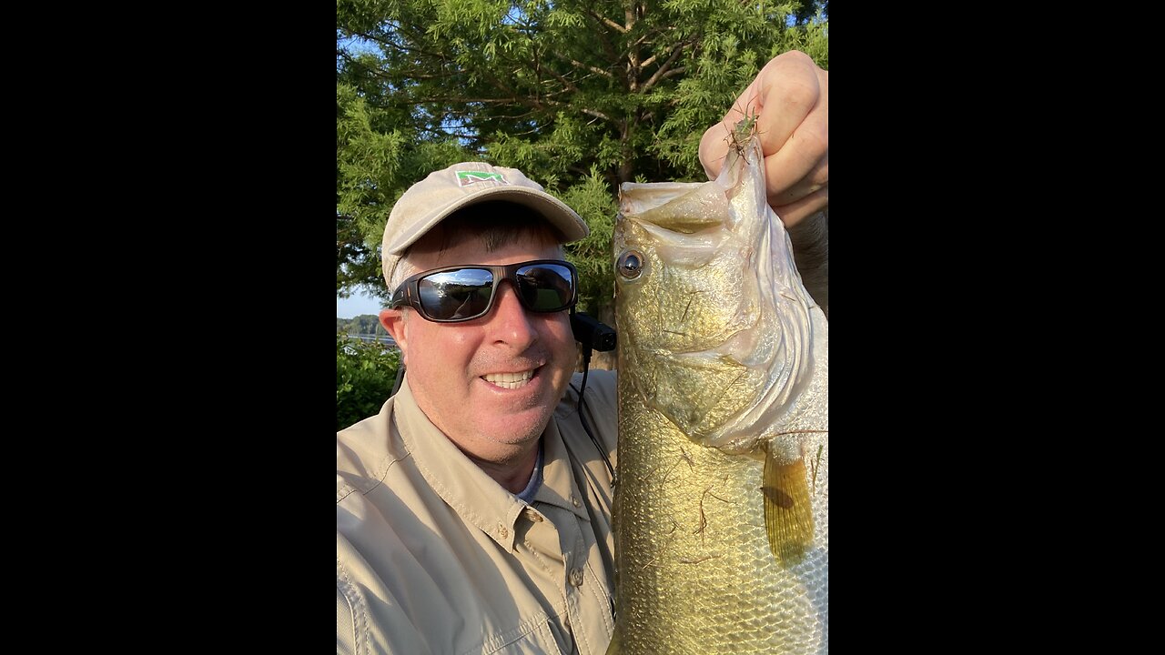 Nice bass, fun to catch! Early morning is a good time of day to fish