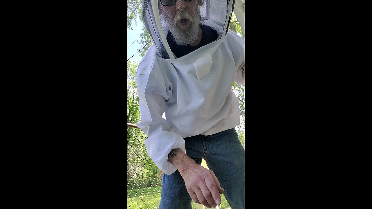 starting my first BeeHive