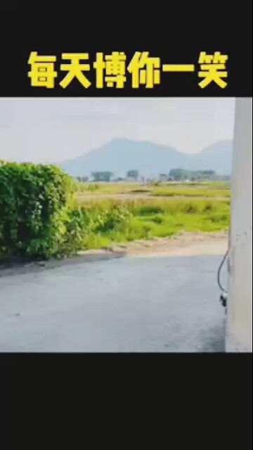 our Hero fall in love