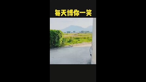 our Hero fall in love