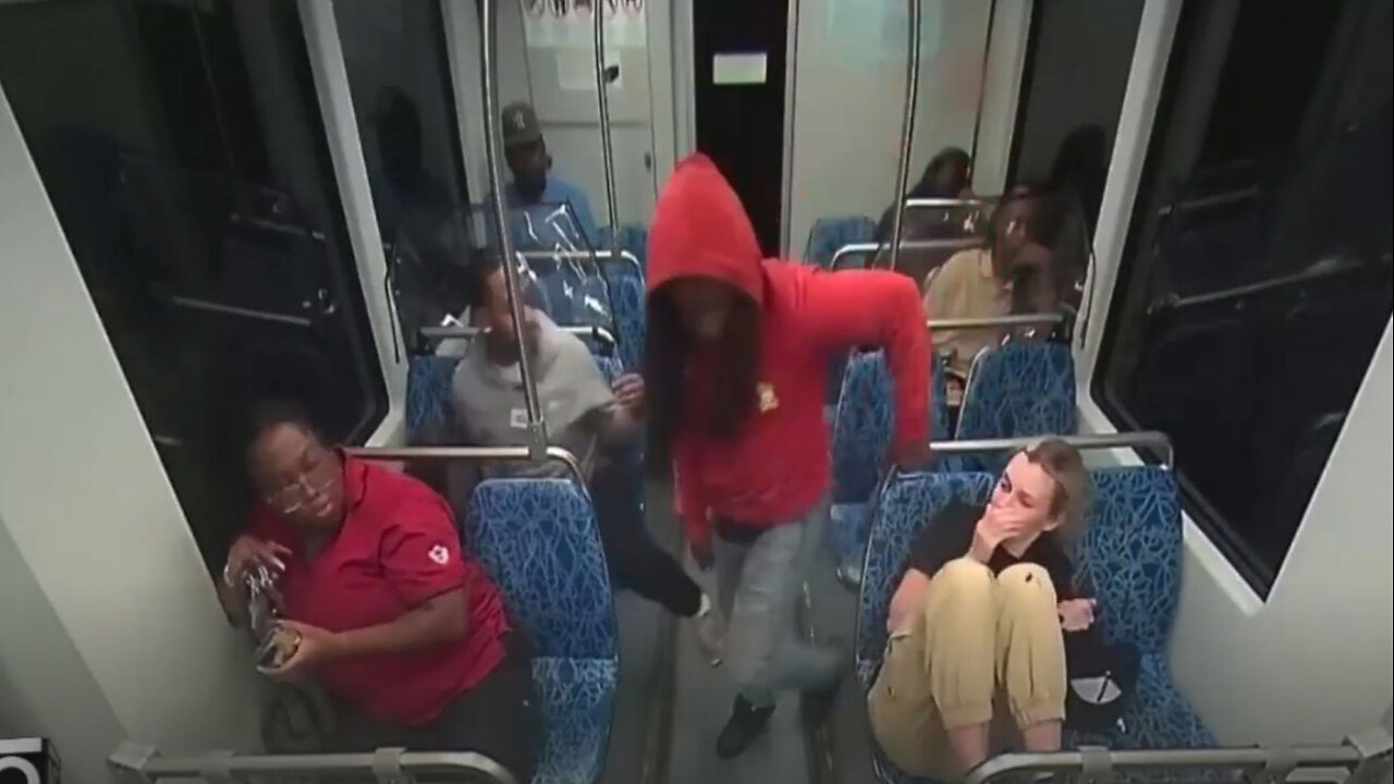 GRAPHIC VIDEO! Video Of The Brutal Stabbing Murder Of Iryna Zarutska By Decarlos Brown