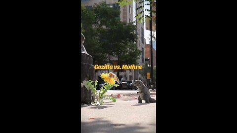 Godzilla vs. Mothra