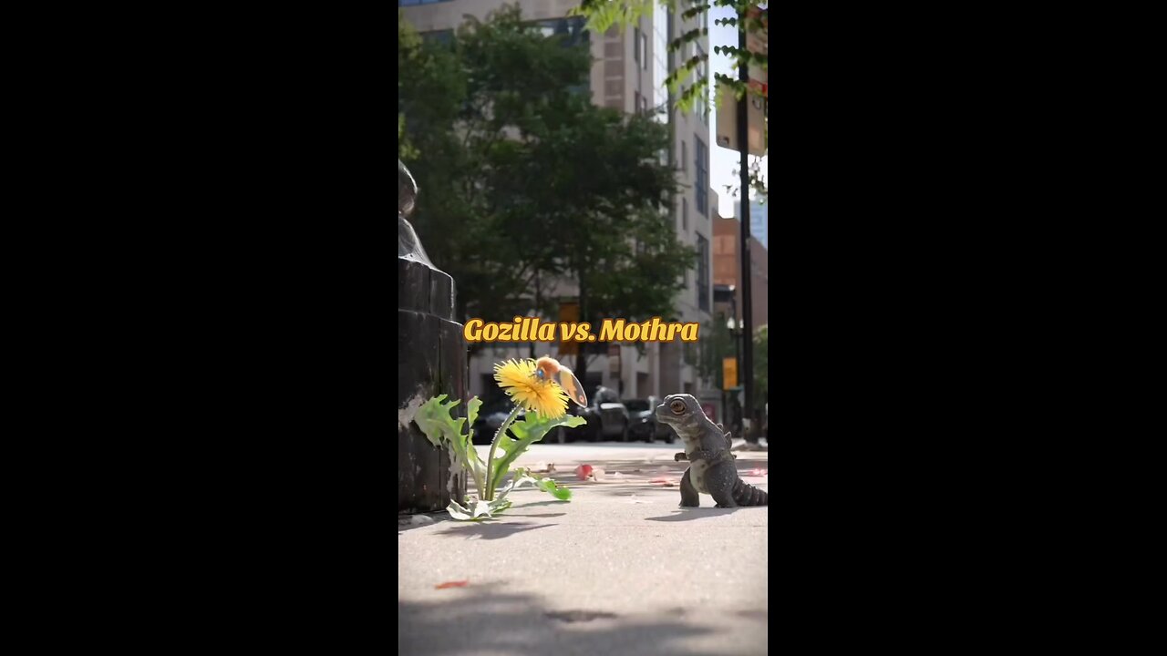 Godzilla vs. Mothra