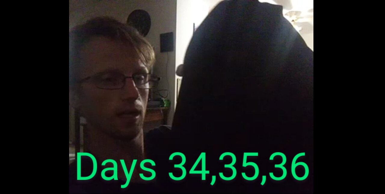 2025June 29,30 and July 1, Days 34,35,36. Pushups and Genesis 18+19