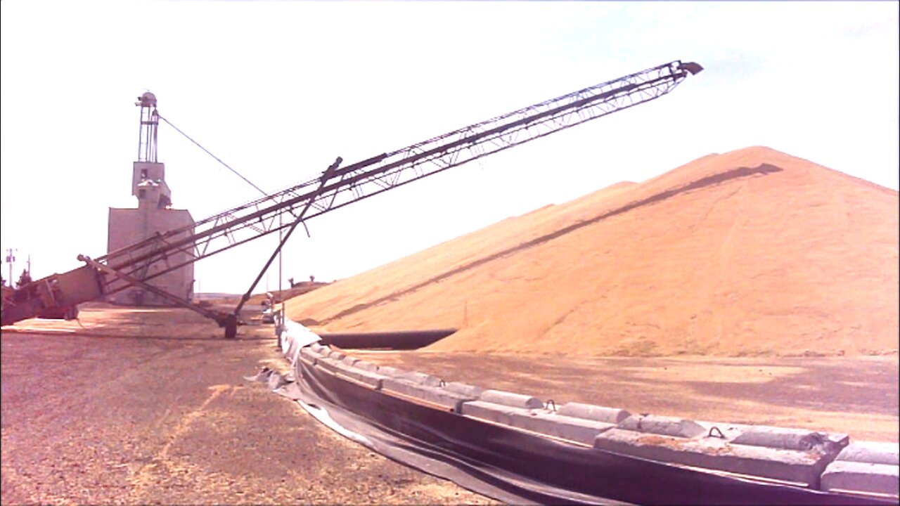 How We Make Grain Piles