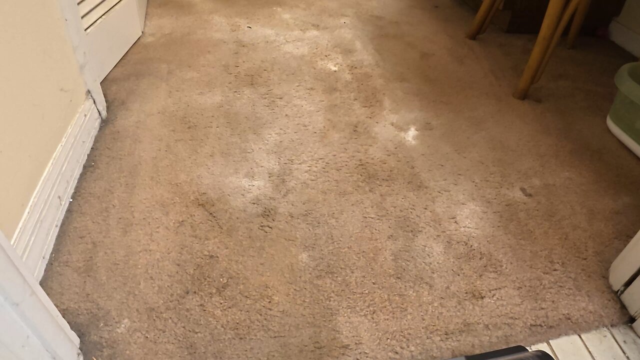 LEVOIT vacuum cleaner