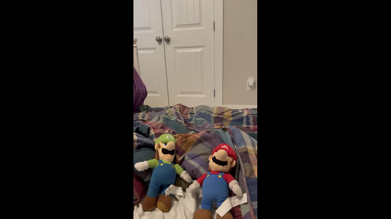 The funny Mario bros. Luigi’s chicken