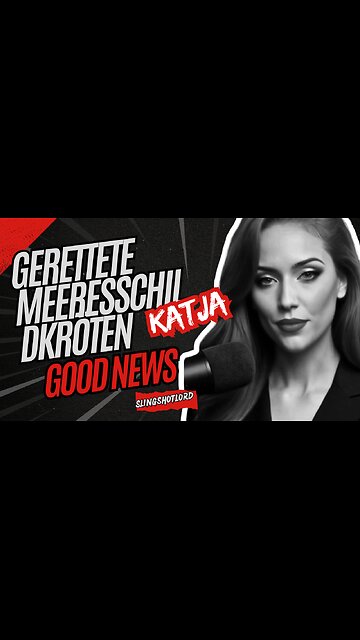 Gerettete Meeresschildkröten kehren ins Meer zurück #news #animals #goodnews #wildlife #familienhund