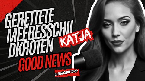 Gerettete Meeresschildkröten kehren ins Meer zurück #news #animals #goodnews #wildlife #familienhund