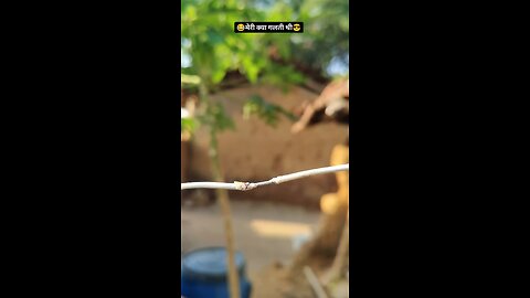 funny video 🤣😂