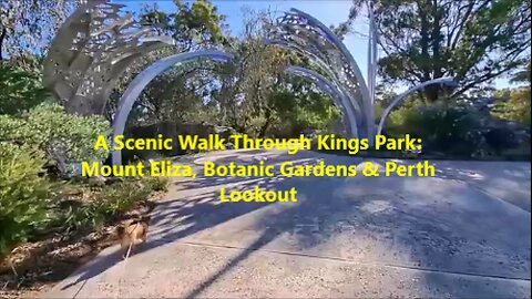 A Scenic Walk Through Kings Park: Mount Eliza, Botanic Gardens & Perth Lookout