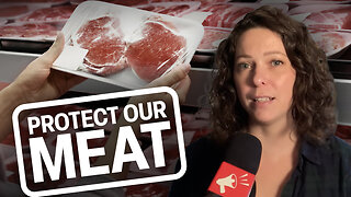 Tell Health Canada: No cloned meat!
