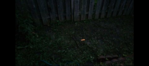 Days 9, 10, and 11: 2025 June 4,5, and 6. 3min41sec mark I show the patio.