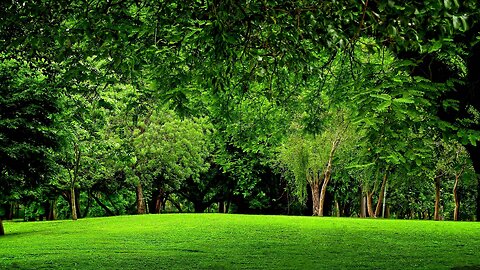Climate Discussion Nexus - It Is Easy Going Green