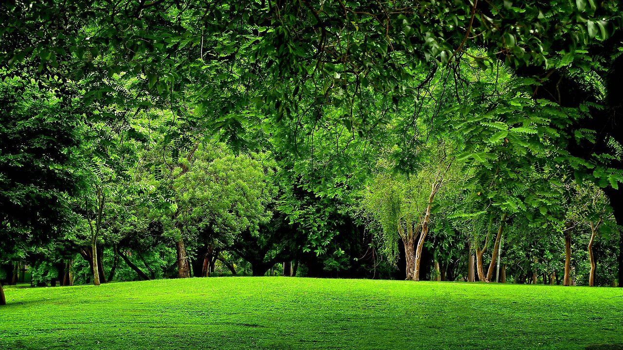 Climate Discussion Nexus - It Is Easy Going Green
