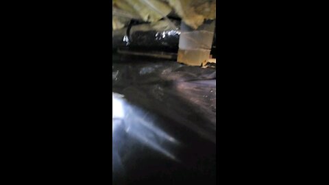 under the house
