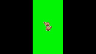 Horse Sticker | Green Screen