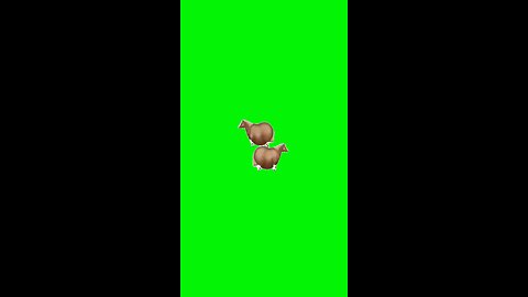 Horse Sticker | Green Screen