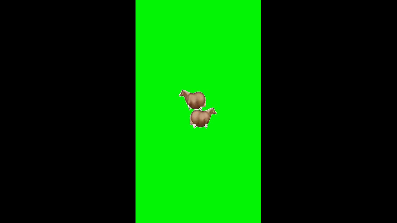 Horse Sticker | Green Screen