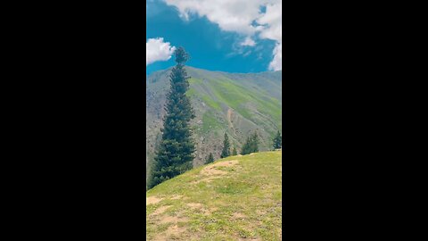THE BEAUTY WERE NATURE TALKS