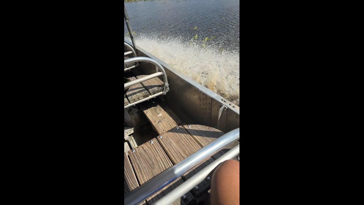 Chillin with the gators