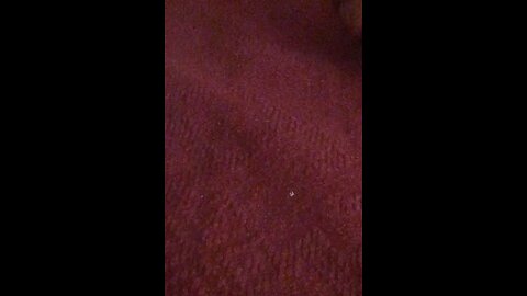 satisfying Video
