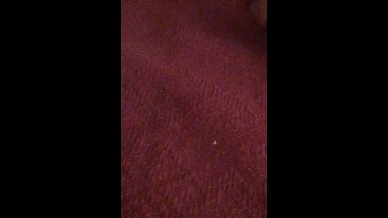 satisfying Video