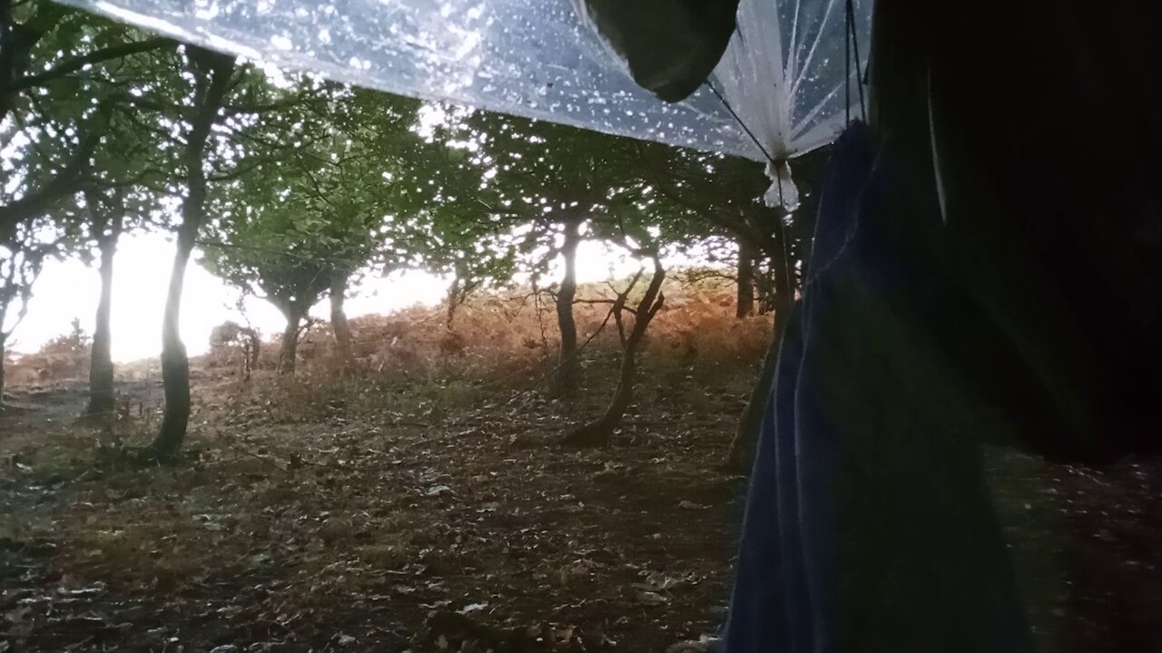10, 2000, chill, , #camp , #setup 2025 , @ashoffgrid