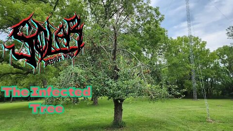 Solarism - E24 S1 • The Infected Tree (Reupload From YT)