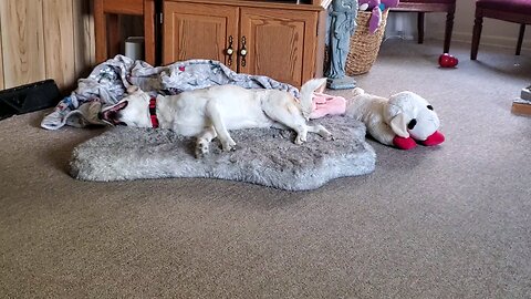 Relaxing after dinner...