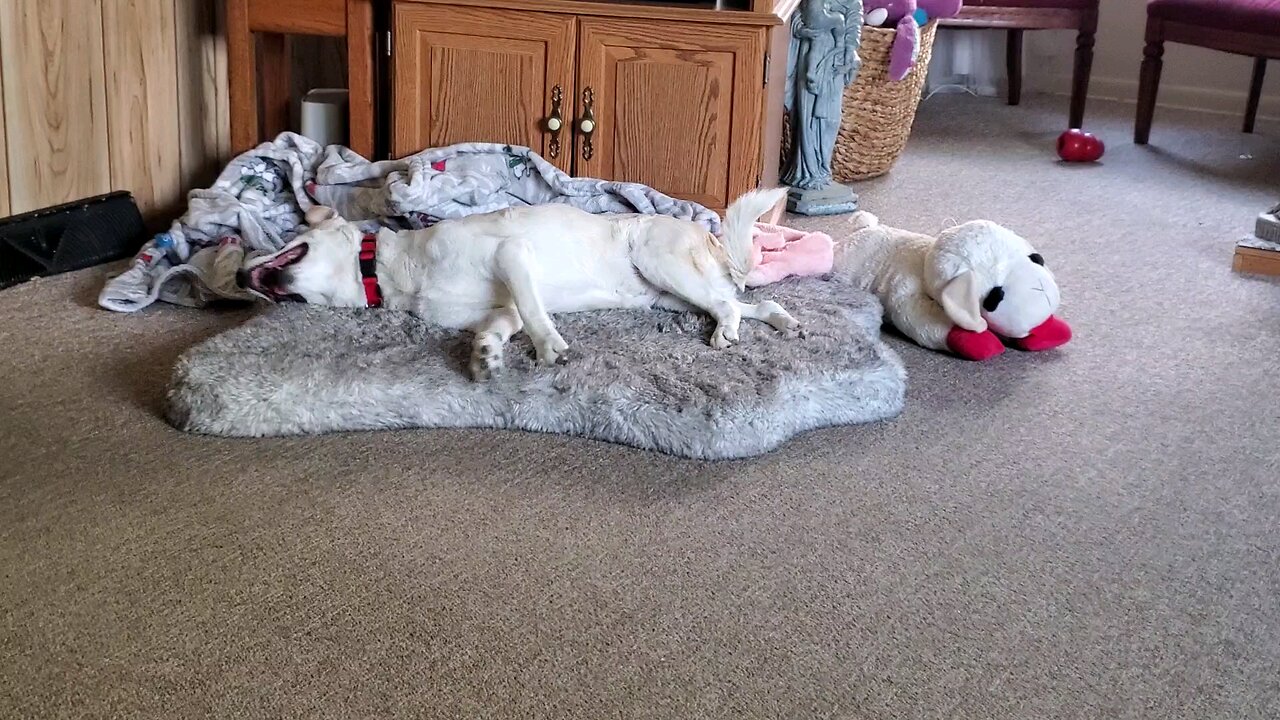 Relaxing after dinner...