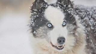 Inland Visions | Winter’s Homeland: The Thrills & Chills of Siberia