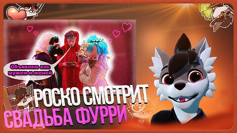 🐺 Роско смотрит Rive - Такого Фурри Ивента Ты ТОЧНО НЕ ВИДЕЛ | Пушистая Свадьба ✅