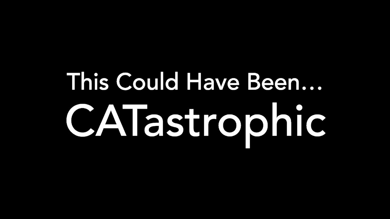 This could’ve been… CATastrophic!
