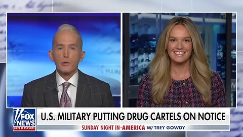 DHS official warns how sanctuary cities are becoming 'safe harbors' to vicious gangs