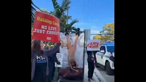 New creative ideas from animal rights activists.