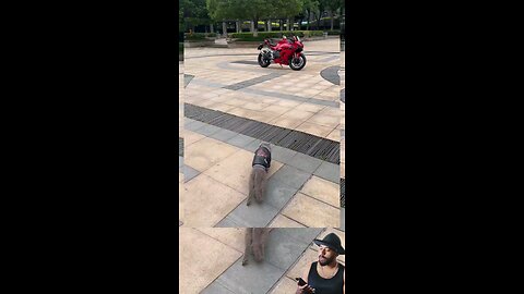 trynottolaugh part 130