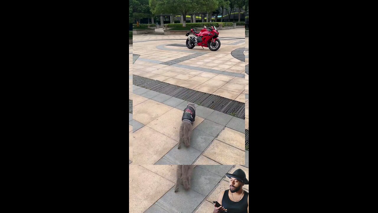 trynottolaugh part 130