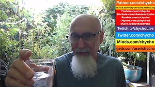 Patio Garden Open Discussion -- Friday, September 5, 2025 [ASMR]