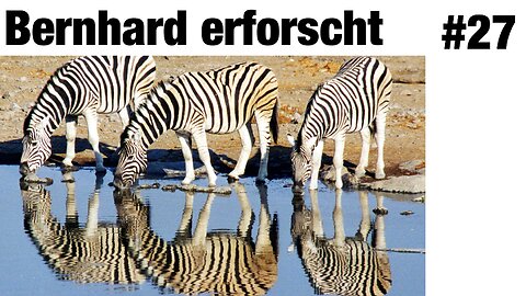 Auf welche Weise können sich Tiere erinnern?