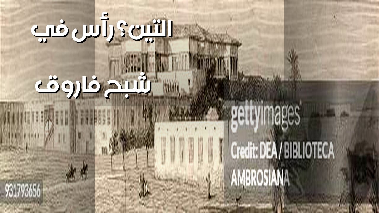 أسرار رأس التين: هل شاهدوا شبح فاروق؟ ️