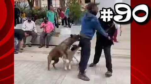 Street Fight Compilation - #90