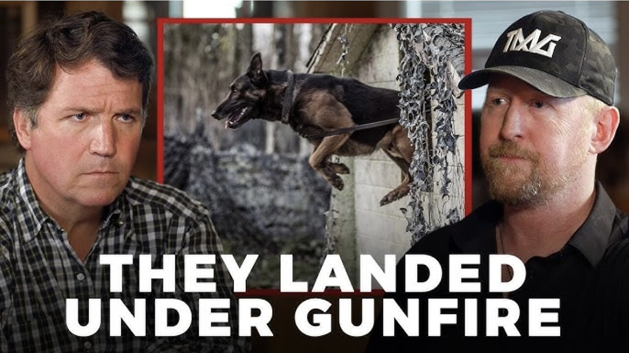 The Amazing Story of The Dog Who Caught Osama Bin Laden