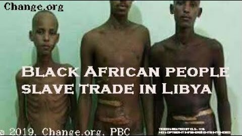 Why Is the Truth about Slavery NEVER Taught in Schools?