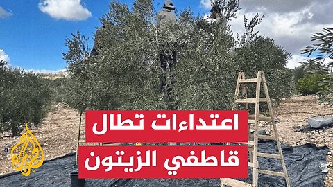 إصابة فلسطيني بعد اعتداء جنود الاحتلال عليه في بلدة بجنوب جنين