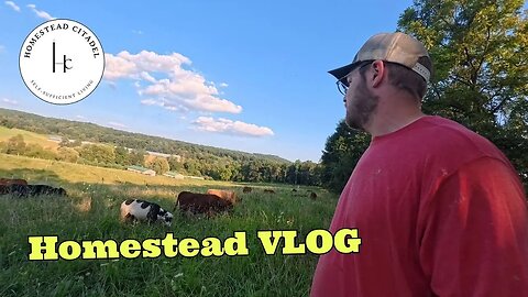 Weekend Hustle with Gray! 🌲🚜 Moving Logs, Rotating Cows, & New Projects at Homestead Citadel