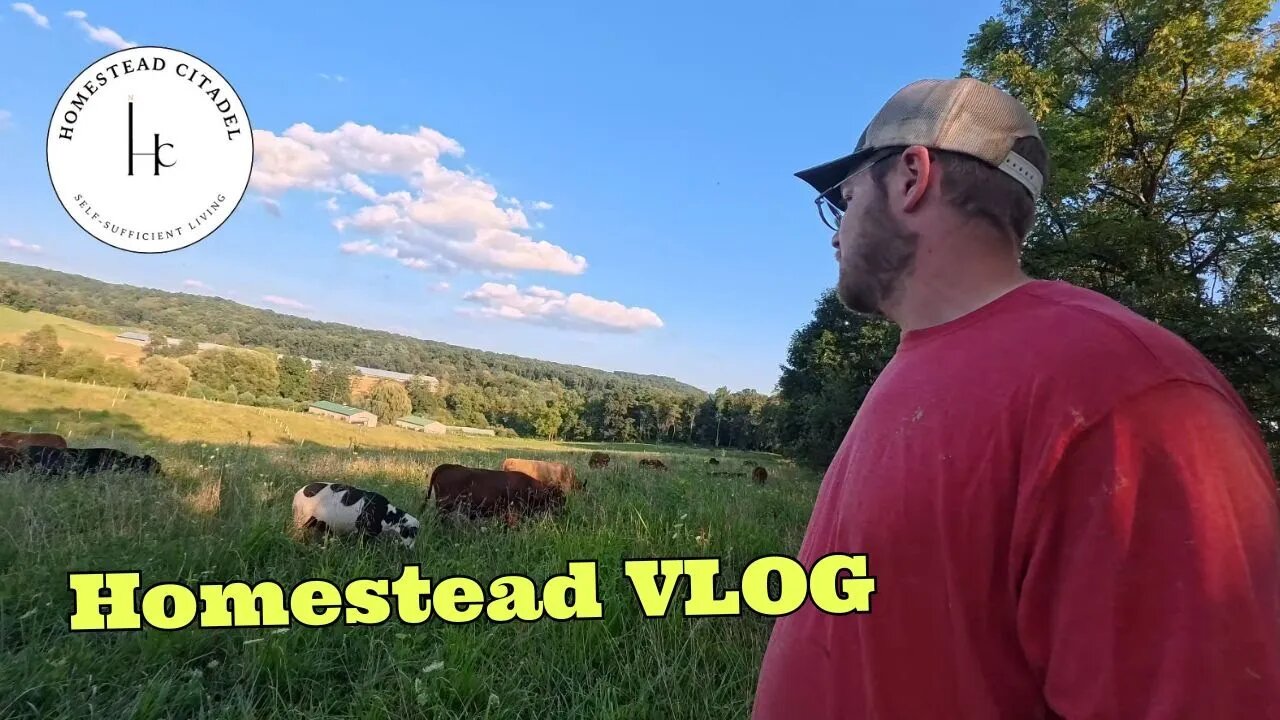 Weekend Hustle with Gray! 🌲🚜 Moving Logs, Rotating Cows, & New Projects at Homestead Citadel