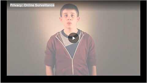 "Online Surveillance and Privacy Concerns"