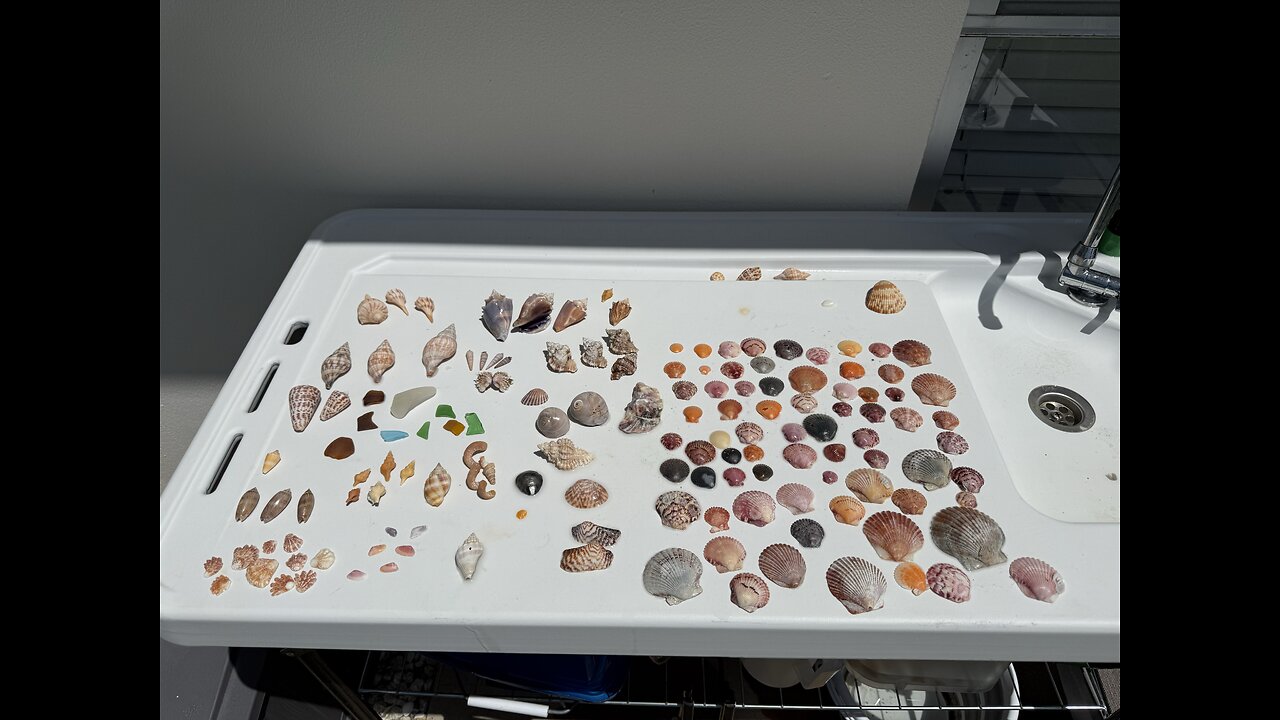 Beach Finds 7/27/2025 | 4K