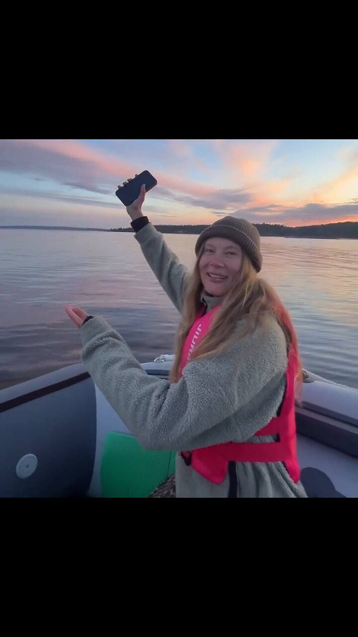 Focas bailan al ritmo de la música clásica
